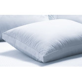 Millennium Gusseted Pillow
