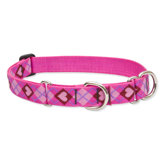 Puppy Love 1" Adjustable Large Dog Combo Collar