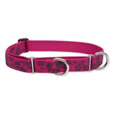 Plum Blossom 1" Adjustable Large Dog Combo Collar