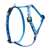 Just Ducky 1/2" Adjustable Small Dog Roman Harness