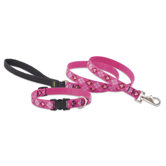 Puppy Love 3/4" Medium Dog Leash