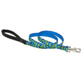 Earth Day 3/4" Medium Dog Leash