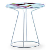 Around the Roses Coffee Table