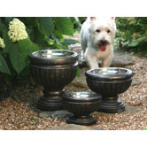 Belmont Dog Raised Feeder