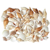 Pacific Coast Lighting Statues & Figurines
