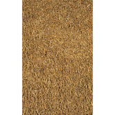 Art Rug