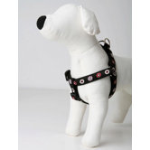 Lola and Foxy Harnesses