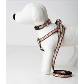 Varsity Stripe Dog Collar