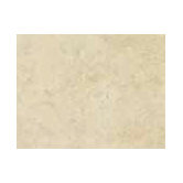 Costa D'Avorio 10" x 13" Wall Tile in Beige