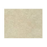 Palmetto 10" x 13" Wall Tile in Bone