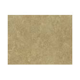 Palmetto 10" x 13" Wall Tile in Gold