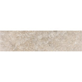 Padova 3" x 12" Bullnose in Gray