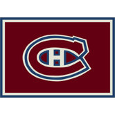 NHL Team Spirit Novelty Rug