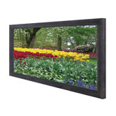 CineGray Cinema235 Series Fixed Frame Wide Screen - 138" Diagonal