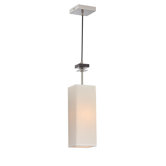1 Light Pendant