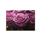 Plum Roses Row Printed Canvas Art - 30" X 40"