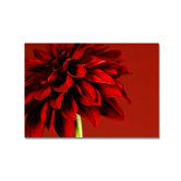 Red Dahlia Printed Canvas Art - 30" X 40"
