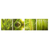 Leaf Quad Canvas (set of 4)