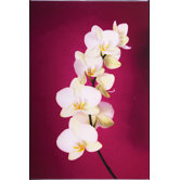 Fucshia Orchid Lacquer Art