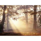 Metallic Forest Canvas