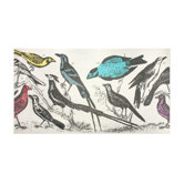 Wool Ornithology Scarf