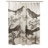 Ornithology Shower Curtain