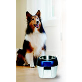 EZ Store Raised Dog Bowl