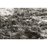 Jasper Light Gray Rug