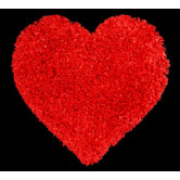 Fantasia Red Rug