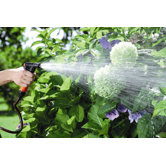 Spray Pistol
