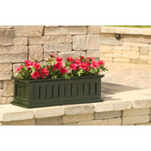 Nantucket Window Box