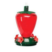 Strawberry Feeder