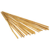 Natural Bamboo Stake (25-Pack)