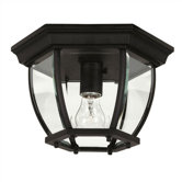 Outdoor Ceiling Lights