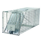Prof Raccoon Trap