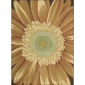 Nourison Country & Floral Rugs