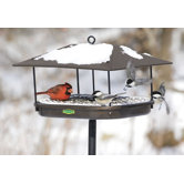 Squirrel Proof Champion Platform Feeder