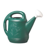 Watering Can in Green