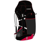 Almer 20L Patagonia Backpack