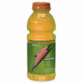 Sports Drink, 20 Oz. Plastic Bottles, 24/Carton
