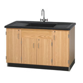 Clean Up Sink With Cabinets