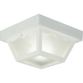 Weather Resistant  Outdoor Flush Mount in White
