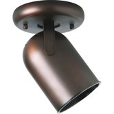 Round Back Ceiling Mount Directional