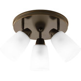 Wisten 3 Light Directional Spotlight