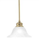 1 Light Pendant
