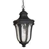 Trafalgar Outdoor Hanging Lantern in Museum Black - Energy Star Optional