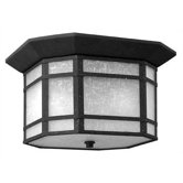 Cherry Creek Outdoor Flush Mount in Vintage Black
