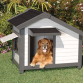 ProConcepts Cozy Cottage Dog House in Gray