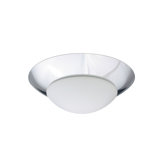 Ring 1 Light Flush Mount