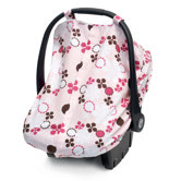 Car Seat Canopy